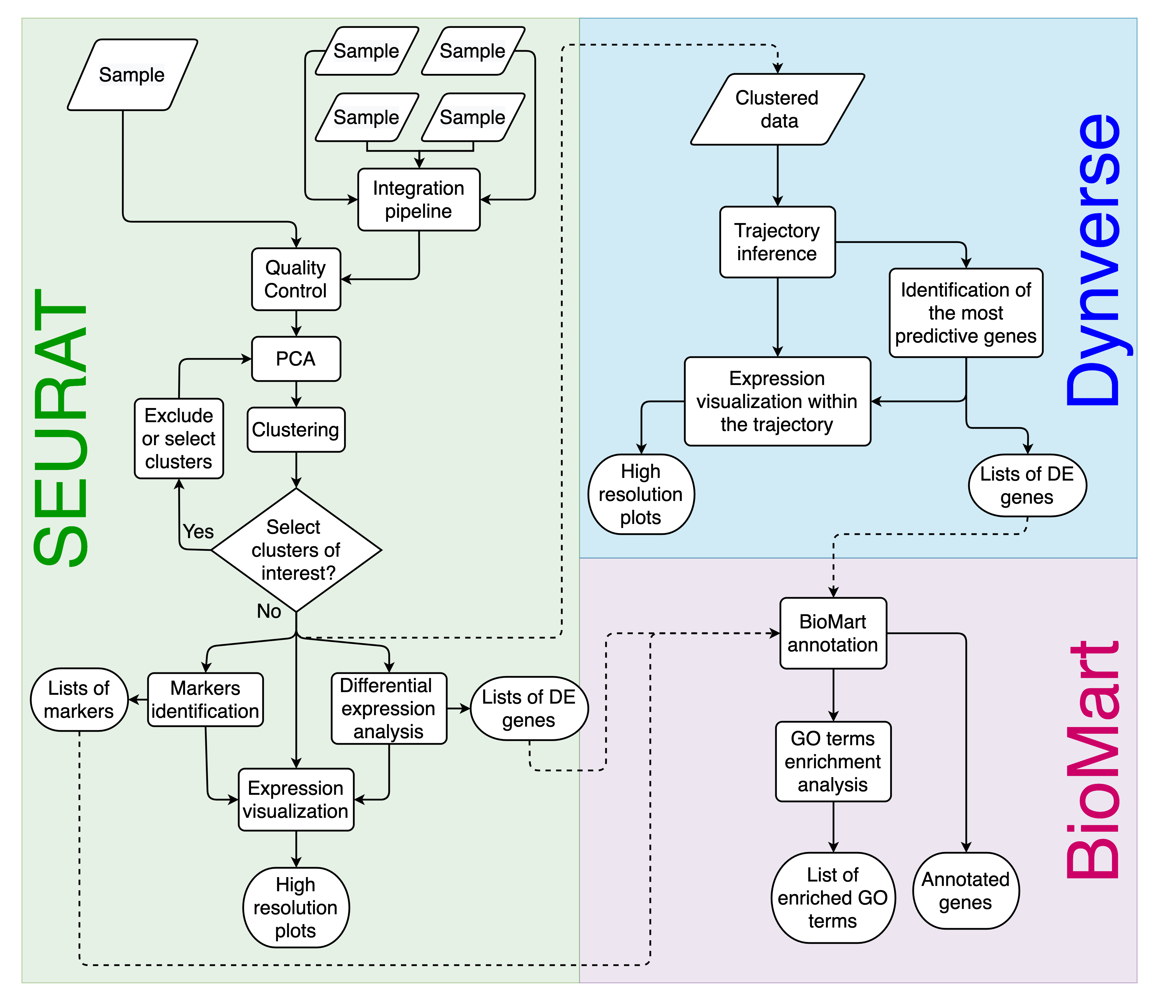 Asc-Seurat workflow overview.